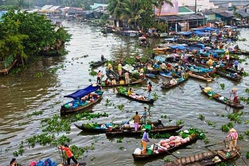 Việt Nam đóng góp tích cực trong các hoạt động của Ủy hội sông Mê Công quốc tế - ảnh 1